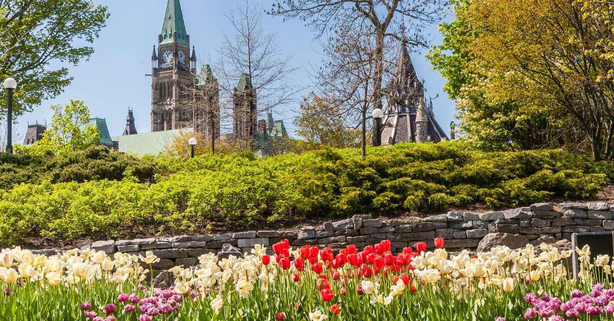 Best Time to Visit the Ottawa Tulip Festival 2024 - Ottawa Times
